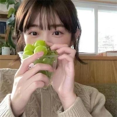 寻狗记